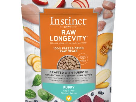 Natures Variety Raw Longevity Dog Freeze-dried 16oz. Puppy Chicken Bites Online Hot Sale