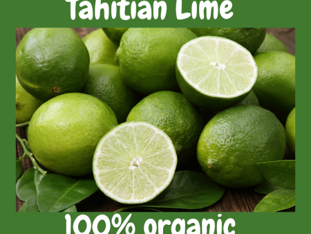 Organic Tahitian Lime, Local, price per kg Supply