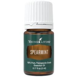 YL Spearmint essential oil Supply