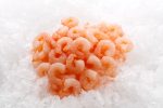 (4464) Shrimp Cooked & peeled 100 200 1kg Fashion