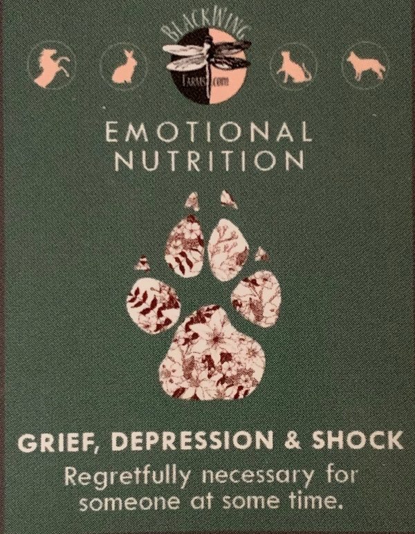 Grief, Depression, & Shock Online Hot Sale