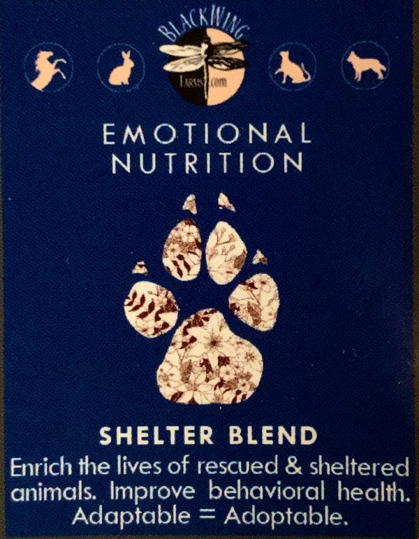 Shelter Blend Enriches Lives Fashion