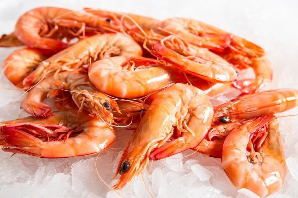 (2325) Prawn Whole Van Cooked 16 20 Box 5kg on Sale