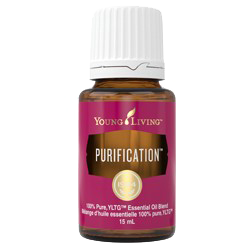 YL Purification Essential Oil For Cheap