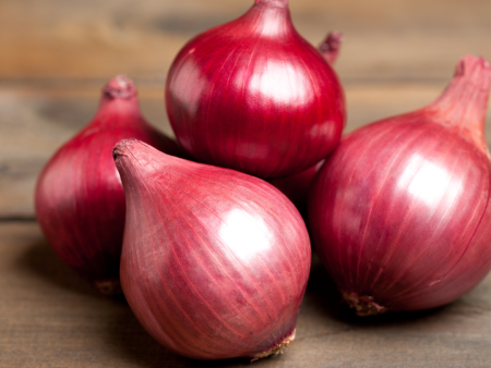 NZ Red Onion medium to large, price per kg on Sale