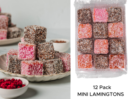 12Pk Mixed Mini Lamingtons Hot on Sale