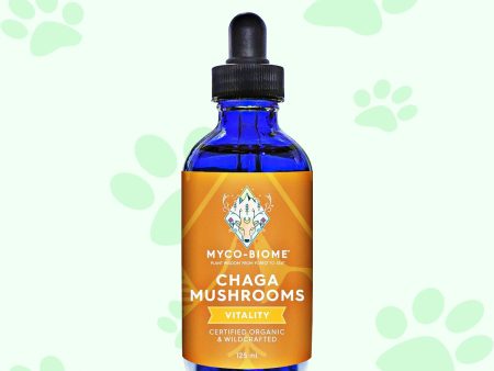 Adored Beast Chaga Mushrooms | Liquid Triple Extract Online now