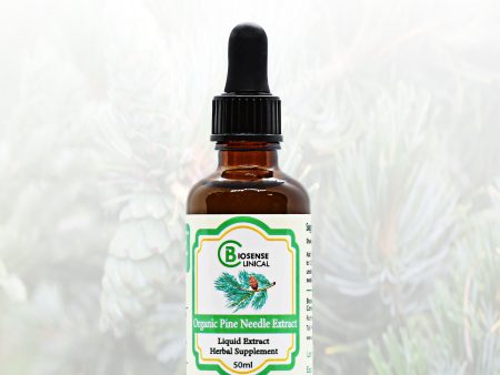 Organic Pine Needle Extract Online Hot Sale